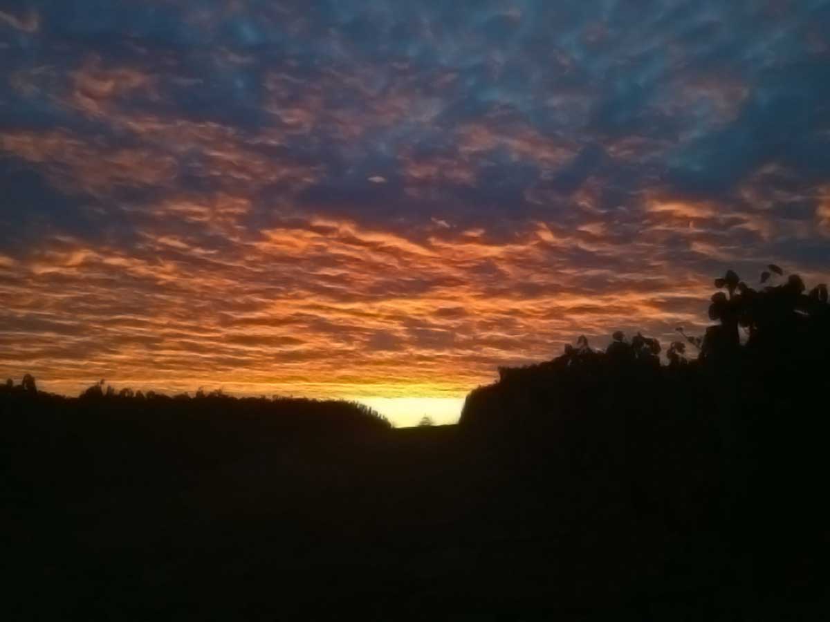 Up before the sun!