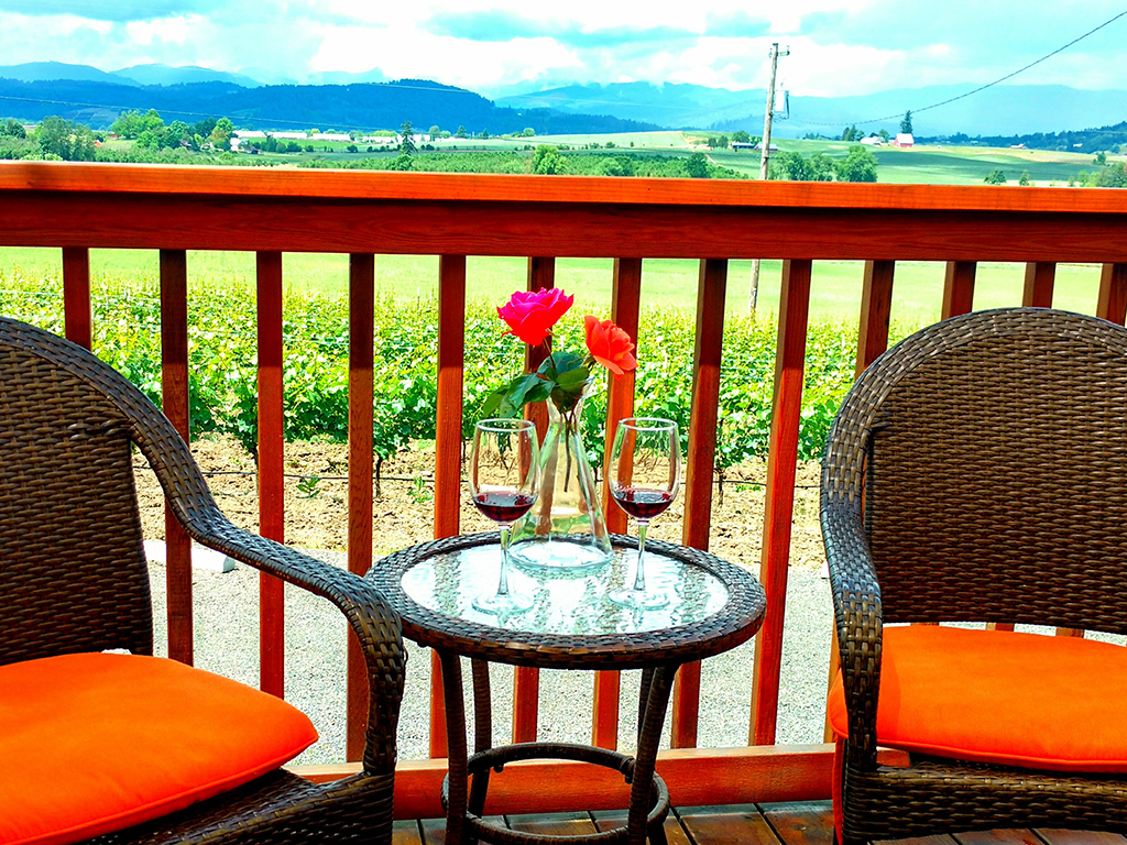 Vineyard Ceremony Setup